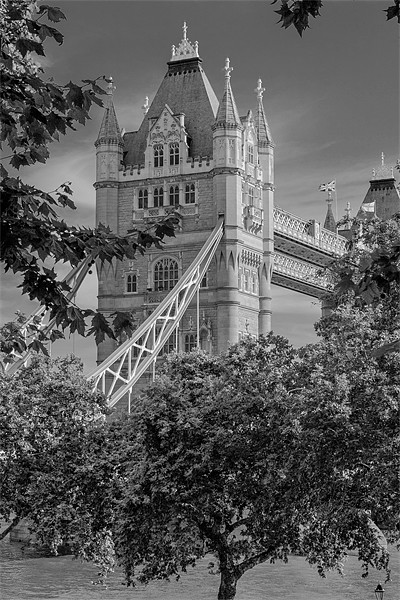 Tower Bridge Picture Board by David Tyrer