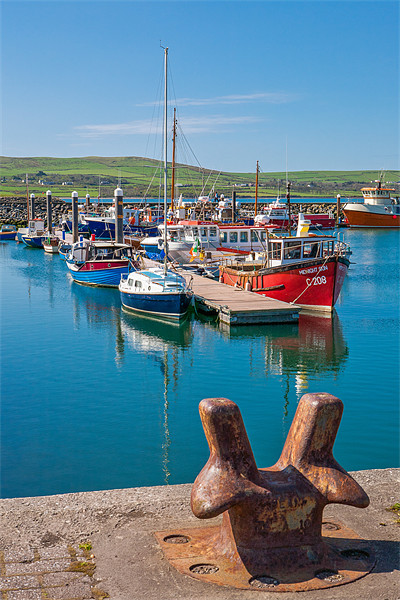 Dingle Harbour Picture Board by David Tyrer