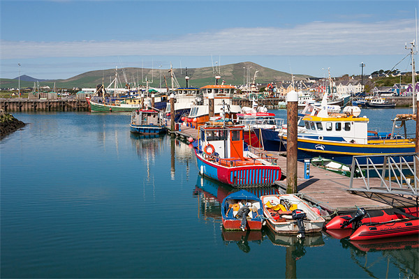 Dingle Harbour Picture Board by David Tyrer