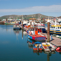 Buy canvas prints of Dingle Harbour by David Tyrer