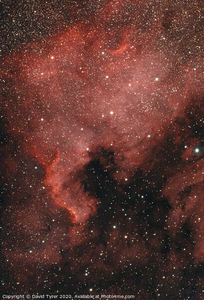 Cosmic Tapestry: The North American Nebula Picture Board by David Tyrer