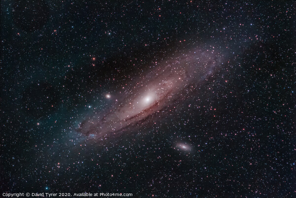 Andromeda's Celestial Dance Picture Board by David Tyrer