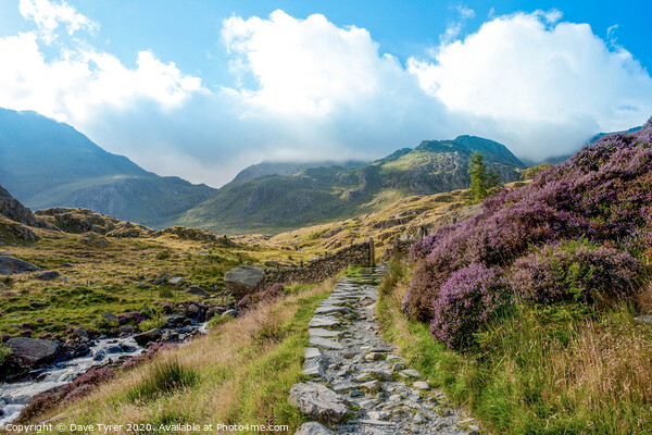 Cwm Idwal Path Snowdonia Picture Board by David Tyrer