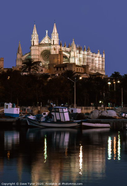 Palma Cathedral at Night Picture Board by David Tyrer
