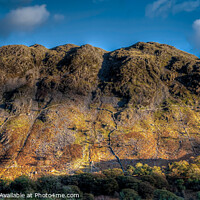 Buy canvas prints of Rosthwaite Fell - Seatoller by David Tyrer