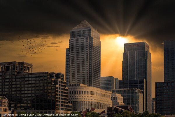 Canary Wharf - London Picture Board by David Tyrer