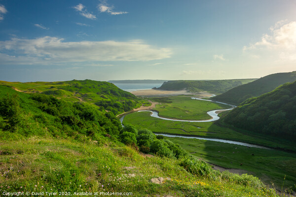 Three Cliffs Bay, Gower, Wales Picture Board by David Tyrer