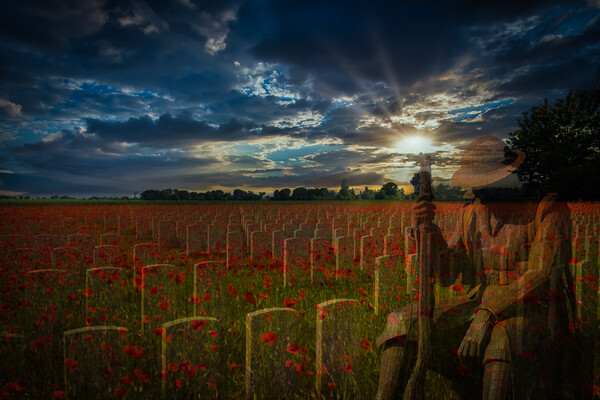 Sunset Salute: Echoes of Great War Valor Picture Board by David Tyrer