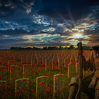 Buy canvas prints of Sunset Salute: Echoes of Great War Valor by David Tyrer