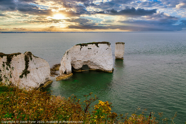 Twilight Glow Over Old Harry Rocks Picture Board by David Tyrer