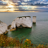 Buy canvas prints of Twilight Glow Over Old Harry Rocks by David Tyrer