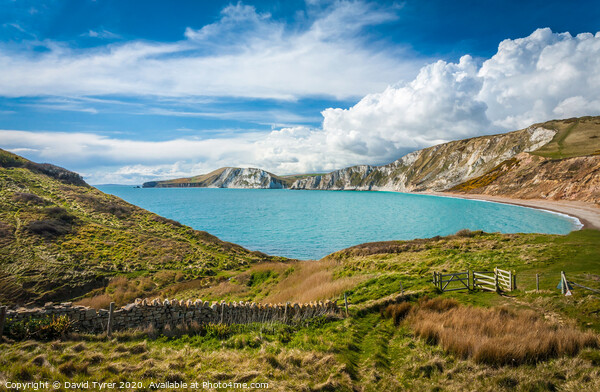 Worbarrow Bay Dorset Picture Board by David Tyrer
