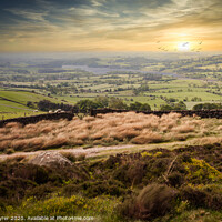 Buy canvas prints of Twilight Over Staffordshire's Untamed Wilderness by David Tyrer