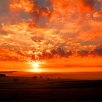 Buy canvas prints of Misty morning sunrise by Neil Ravenscroft