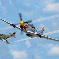 Buy canvas prints of   P-51 Mustang by Neil Ravenscroft