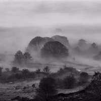 Buy canvas prints of  Misty morning on Curbar edge by Neil Ravenscroft