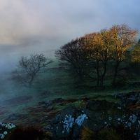 Buy canvas prints of  misty morning baslow edge by Neil Ravenscroft