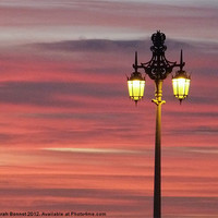 Buy canvas prints of Brighton streetlight sunset by Sarah Bonnot