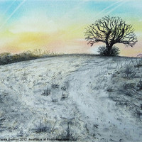 Buy canvas prints of Snowy Oak by Sarah Bonnot