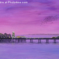 Buy canvas prints of Purple Palace Pier by Sarah Bonnot