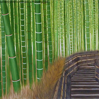 Buy canvas prints of Arashiyama bamboo groves by Sarah Bonnot