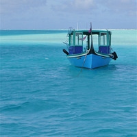Buy canvas prints of Dhoni in The Maldives by Sarah Bonnot