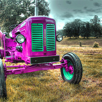 Buy canvas prints of Little Pink Vintage Tractor by Gavin Wilson