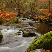 Buy canvas prints of Autumn, Lake District, Cumbria by Gavin Wilson