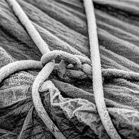 Buy canvas prints of Frosted Rope by Gavin Wilson