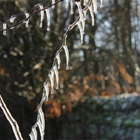 Buy canvas prints of Icicles by Gavin Wilson
