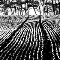 Buy canvas prints of black and white field by Gavin Wilson