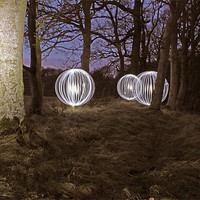 Buy canvas prints of Woodland lights by Gavin Wilson