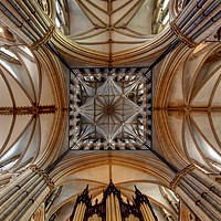 Buy canvas prints of Lincoln Cathedral by Gavin Wilson