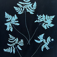 Buy canvas prints of  Cyan Vintage Botanical Specimen by Gavin Wilson