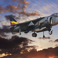 Buy canvas prints of  RAF Harrier GR9 by David Yeaman