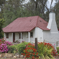 Buy canvas prints of Vignerons Cottage Tahbilk Winery by Pauline Tims