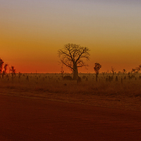 Buy canvas prints of Sunset on Gibb River Road W.A by Pauline Tims