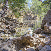 Buy canvas prints of The Billabong (Water Hole) by Pauline Tims