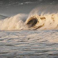 Buy canvas prints of Surfs Up by Pauline Tims