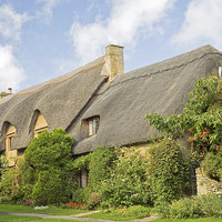 Buy canvas prints of Cotswold Cottage by Pauline Tims