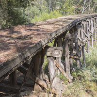 Buy canvas prints of OLD TRESTLE BRIDGE by Pauline Tims