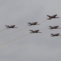 Buy canvas prints of Roulettes by Pauline Tims