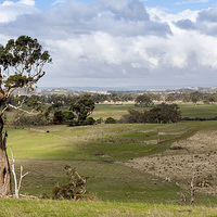 Buy canvas prints of Australian landscape, Kilmore by Pauline Tims