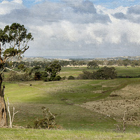 Buy canvas prints of Australian landscape Kilmore 2 by Pauline Tims