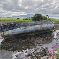 Buy canvas prints of  Wreck at Strandhills, Ireland by Pauline Tims