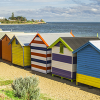Buy canvas prints of  Beach Huts at Brighton Victoria Australia by Pauline Tims