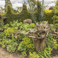 Buy canvas prints of  Garden at Arundel Castle, Sussex, UK by Pauline Tims