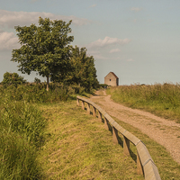 Buy canvas prints of  Roman Road to St Peters on the Wall, Bradwell on  by Pauline Tims