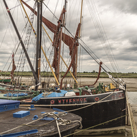 Buy canvas prints of  Wivenhoe Quayside, Essex, UK by Pauline Tims