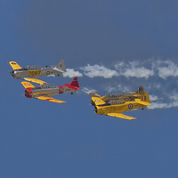 Buy canvas prints of Harvards  Into the Blue by Pauline Tims